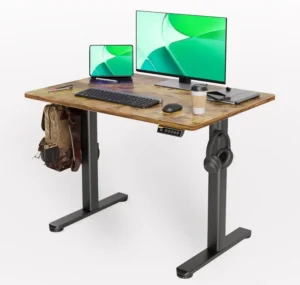 Claiks Adjustable Electric Standing Desk
