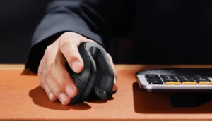 ProtoArc Ergonomic Mouse